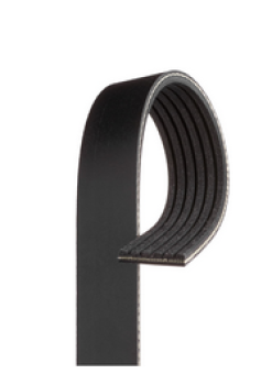 Keilrippenriemen 4PK815